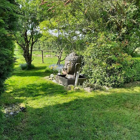 Un Petit Coin De Paradis 2 Clairfontaine 외부 사진
